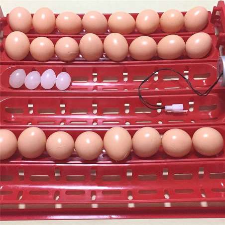 Bandeja de Volteo Automático por Arrastre Huevos Grandes y Pequeños Incubadoras 