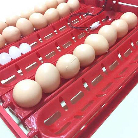 Bandeja de Volteo Automático por Arrastre Huevos Grandes y Pequeños Incubadoras 