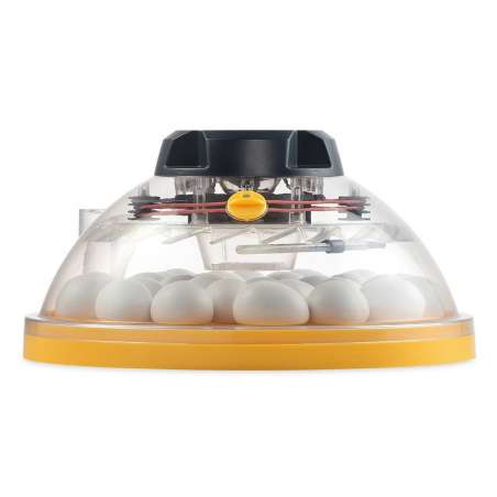 Incubadora Brinsea Maxi II Eco para 30 Huevos Gallina